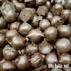 PHP2 Hazelnootjes met Pure Chocolade 500g